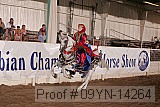 09yn-14264 proof