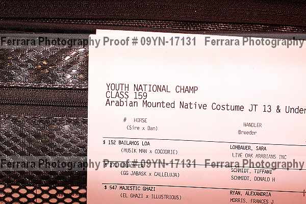 Proof 09yn-17131