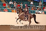 09yn-17133 proof