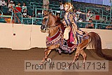 09yn-17134 proof