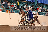09yn-17135 proof