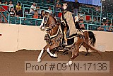 09yn-17136 proof