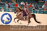 09yn-17137 proof