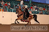 09yn-17140 proof
