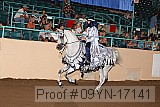 09yn-17141 proof