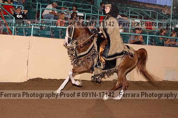 Proof 09yn-17142