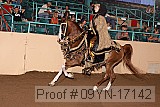 09yn-17142 proof