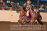 09yn-17144 proof