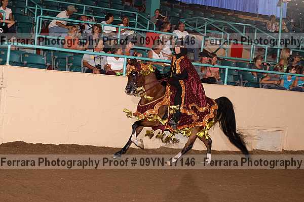 Proof 09yn-17146