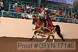 09yn-17146 proof