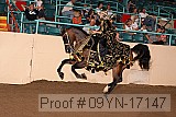 09yn-17147 proof