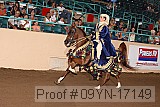 09yn-17149 proof
