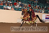 09yn-17150 proof