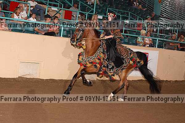Proof 09yn-17151