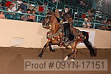 09yn-17151 proof