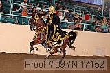 09yn-17152 proof
