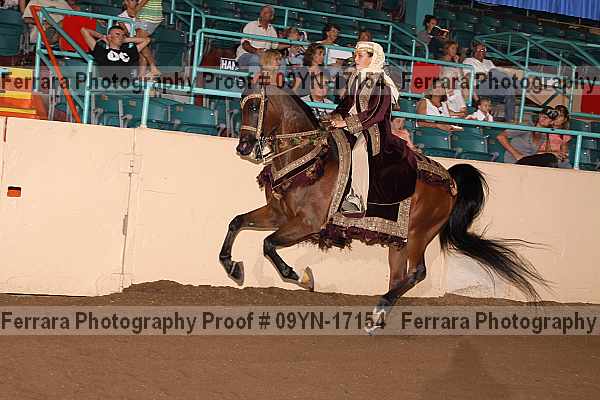 Proof 09yn-17154