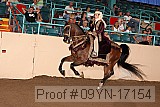 09yn-17154 proof