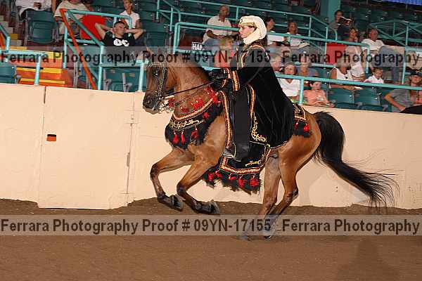 Proof 09yn-17155