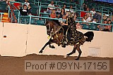 09yn-17156 proof