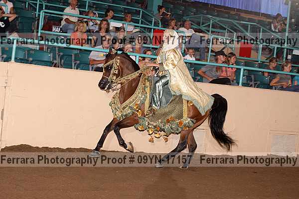 Proof 09yn-17157