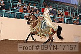 09yn-17157 proof