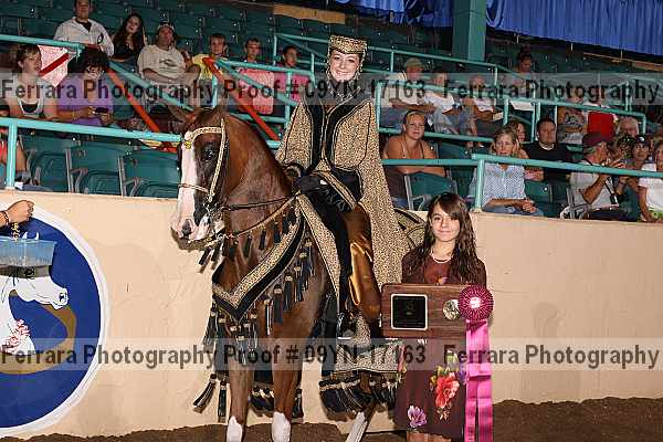 Proof 09yn-17163