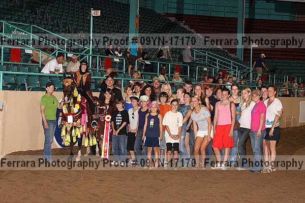 Proof 09yn-17170
