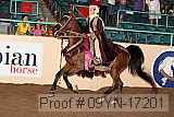 09yn-17201 proof