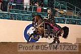 09yn-17202 proof