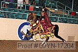 09yn-17204 proof