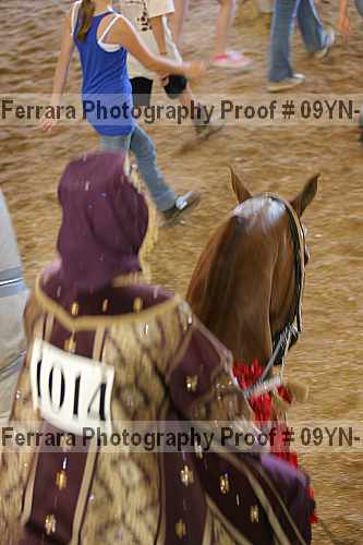 Proof 09yn-17207