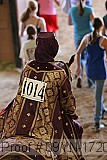 09yn-17209 proof