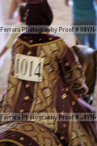 Proof 09yn-17210