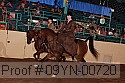 09yn-00720 proof