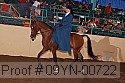 09yn-00722 proof