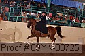 09yn-00725 proof