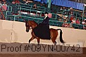 09yn-00742 proof