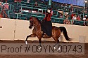 09yn-00743 proof