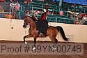 09yn-00748 proof