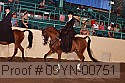 09yn-00751 proof