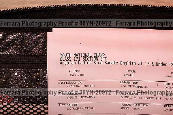 Proof 09yn-20972