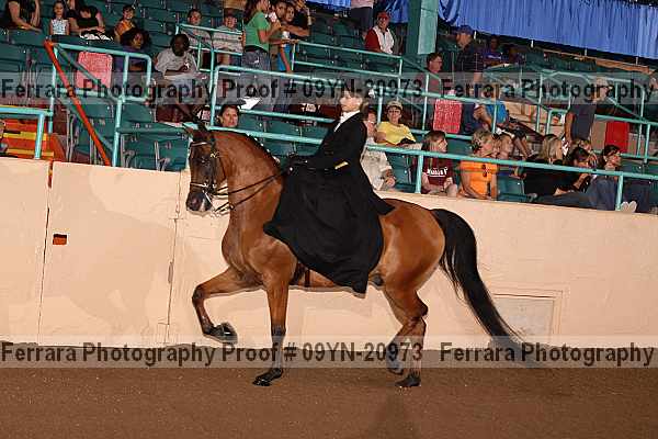 Proof 09yn-20973