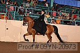 09yn-20973 proof