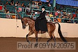 09yn-20975 proof