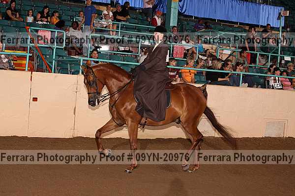 Proof 09yn-20976