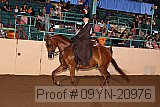 09yn-20976 proof