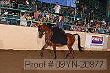 09yn-20977 proof