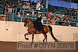 09yn-20978 proof