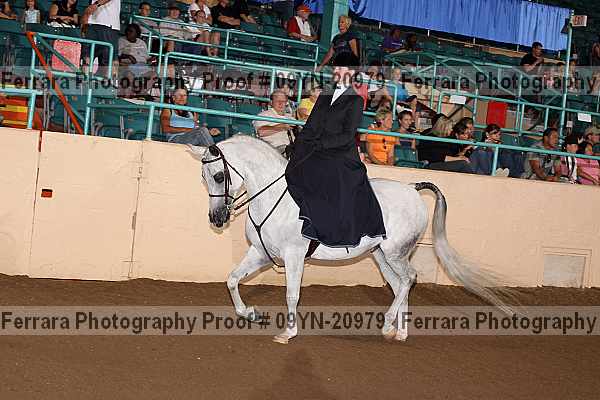 Proof 09yn-20979
